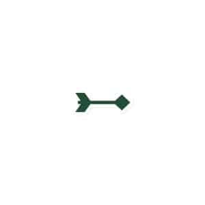 04 Feather Shaft Arrow Forest Green Die-Cut Magnet - 3″×3″ - Main