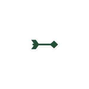 04 Feather Shaft Arrow Forest Green Vinyl Sticker - 3x3 - Main
