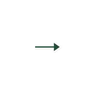 06 Straight Trail Arrow Forest Green Die-Cut Magnet - 3″×3″ - Main
