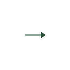 06 Straight Trail Arrow Forest Green Vinyl Sticker - 3x3 - Main