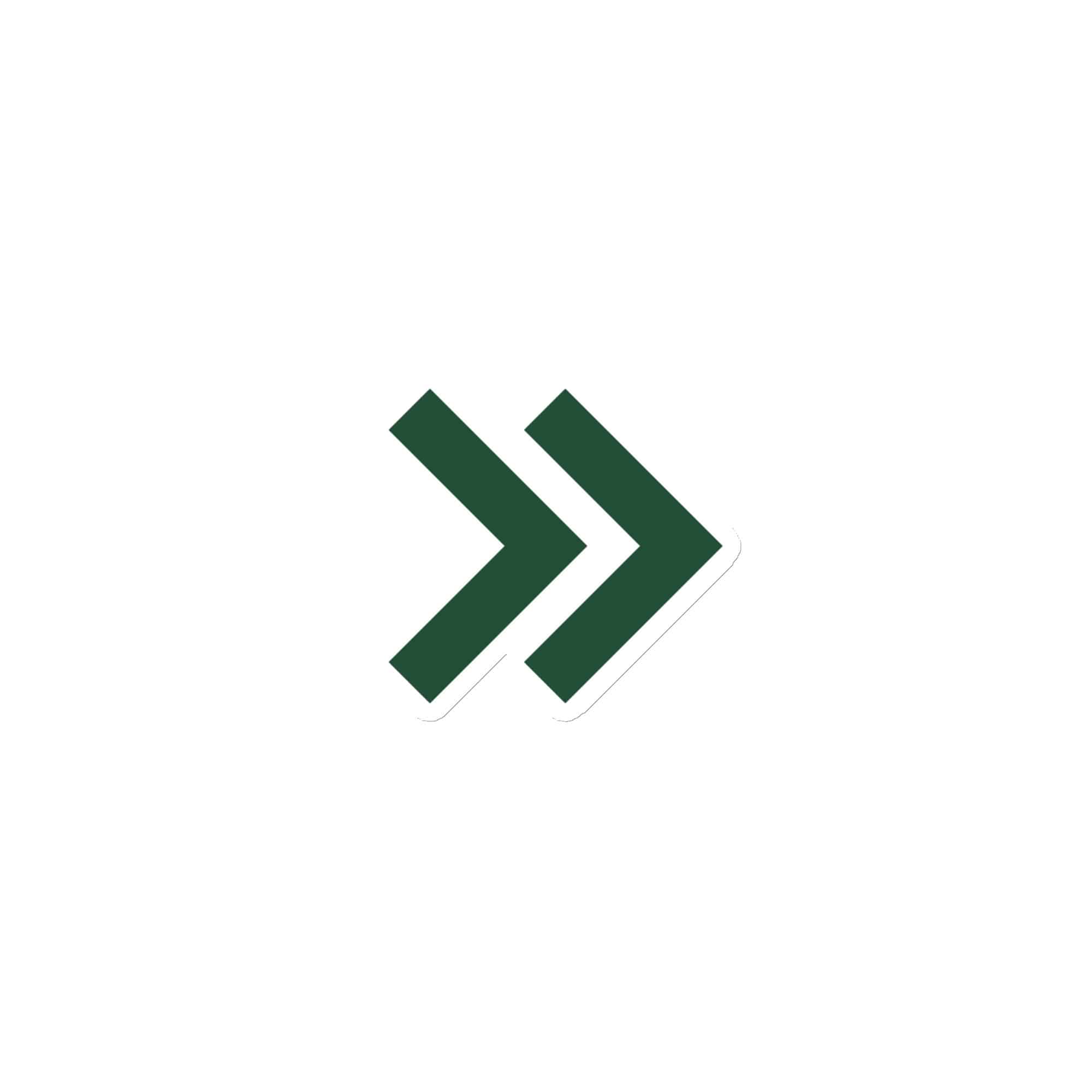Forest Green Double Chevron Die-Cut Magnet
