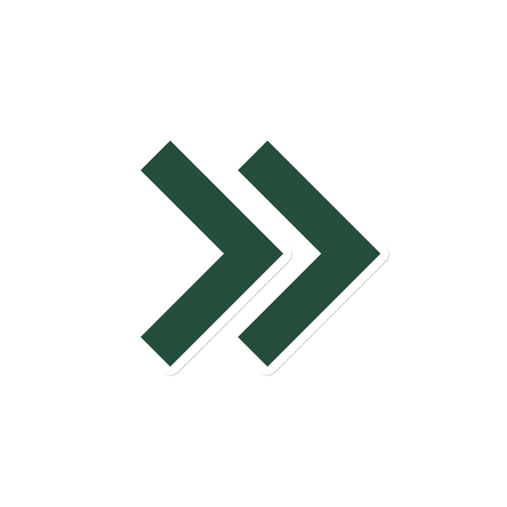 Forest Green Double Chevron Die-Cut Magnet