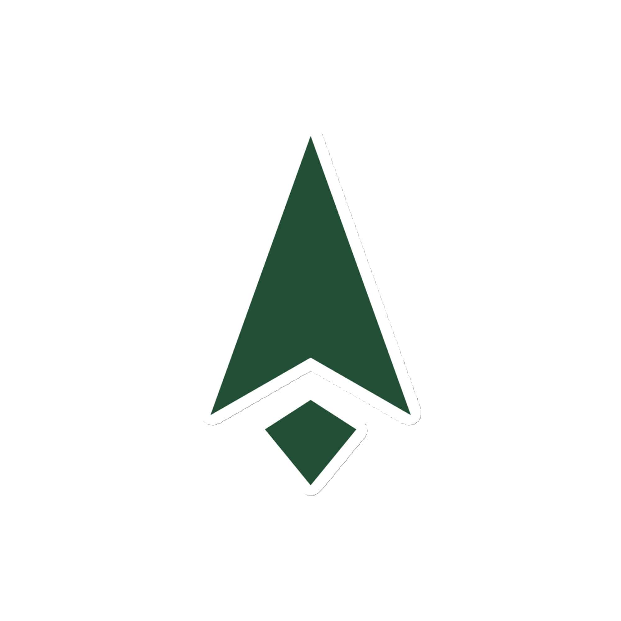 Forest Green Compass Arrow Die-Cut Magnet