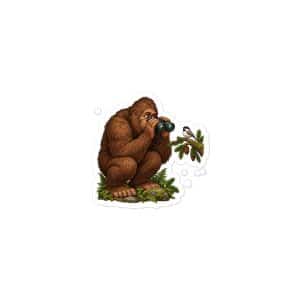 12 Bigfoot Birdwatcher Vinyl Sticker - 3x3 - Main