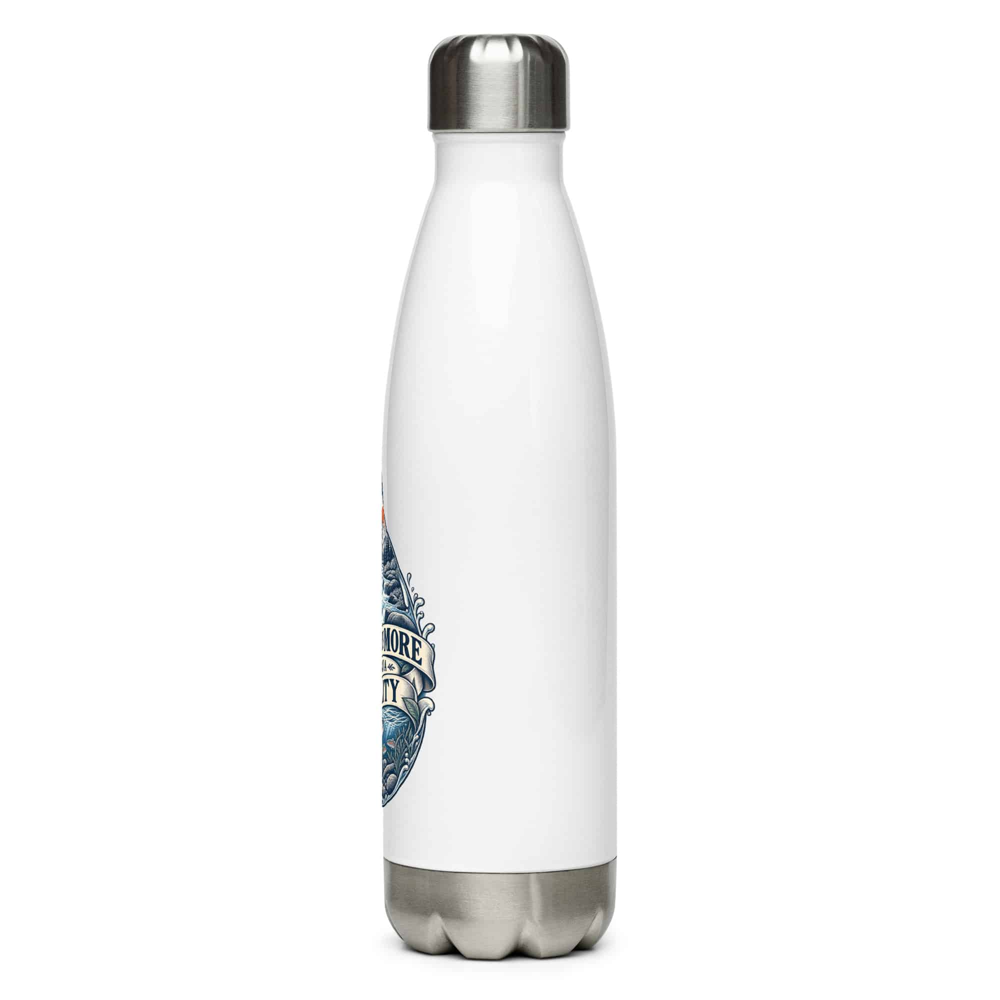 Stainless Steel Water Bottle: Water is more than a utility