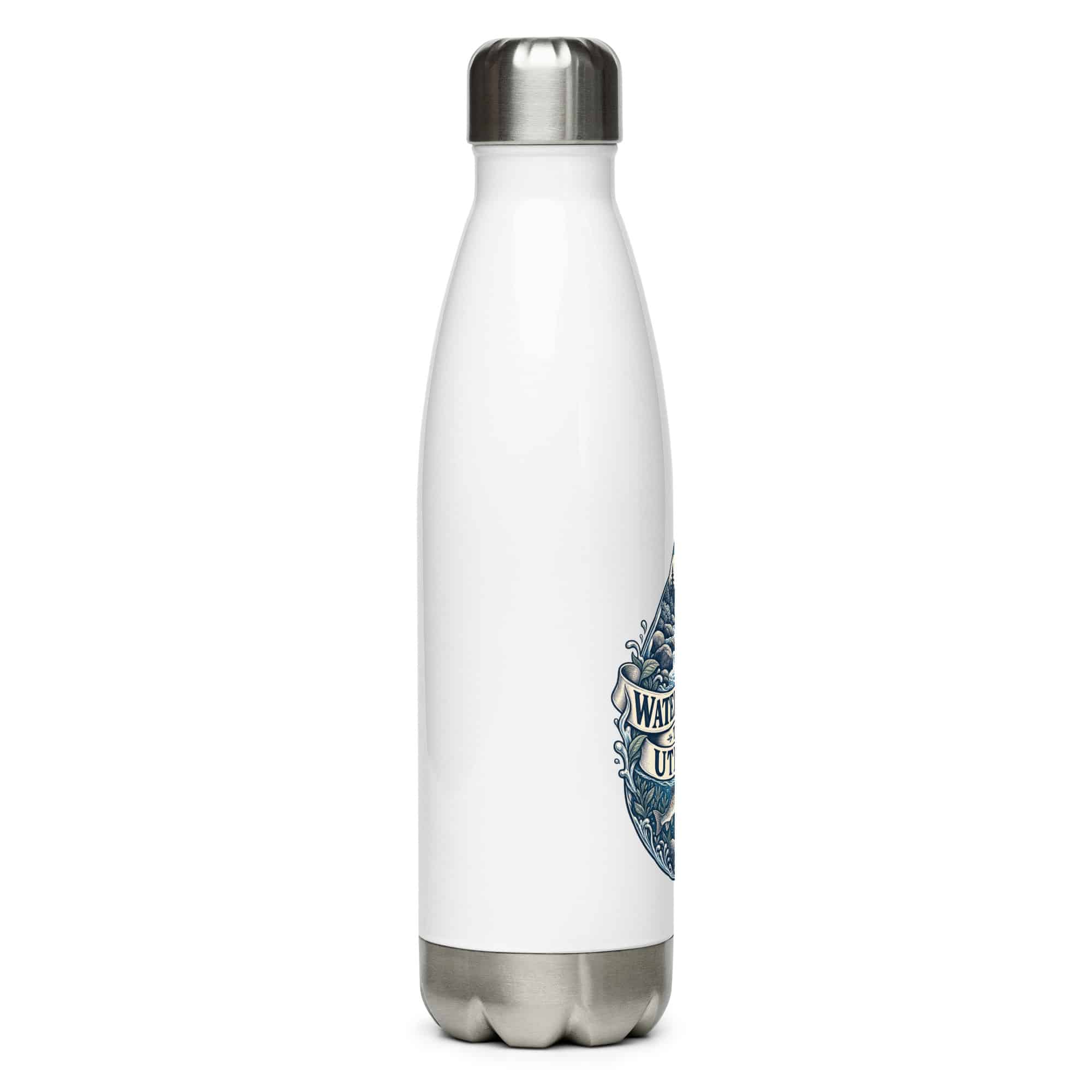 Stainless Steel Water Bottle: Water is more than a utility