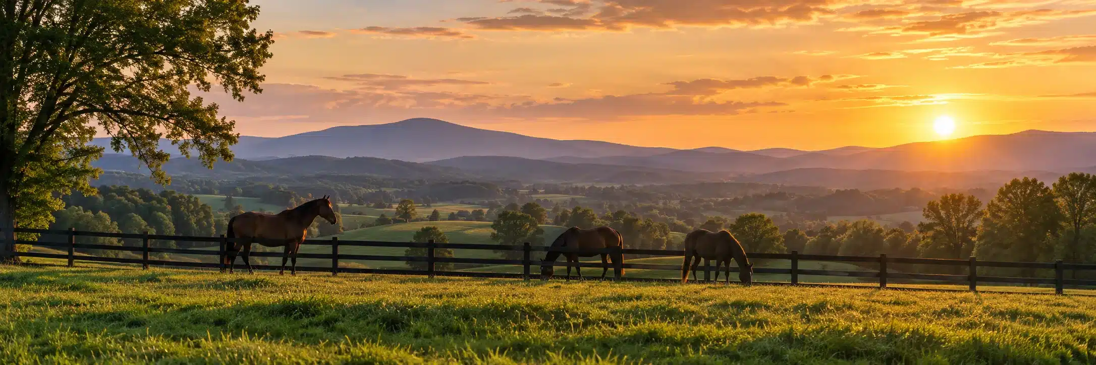 Horses grazing behind a black plank fence in rolling Kentucky pasture at sunrise