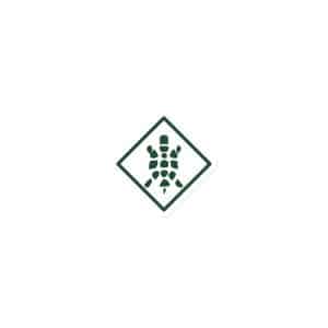 Turtle Diamond Forest Green Die-Cut Magnet - 3″×3″ - Main