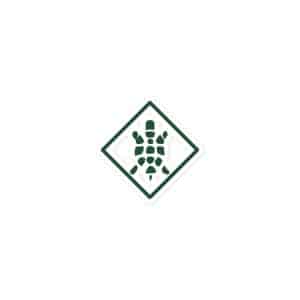 Turtle Diamond Forest Green Vinyl Sticker - 3x3 - Main