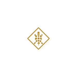 Turtle Diamond Gold Die-Cut Magnet - 3″×3″ - Main