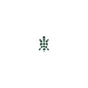 Turtle Icon Forest Green Die-Cut Magnet - 3″×3″ - Main