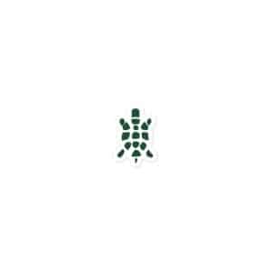 Turtle Icon Forest Green Vinyl Sticker - 3x3 - Main