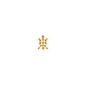 Turtle Icon Gold Die-Cut Magnet - 3″×3″ - Main