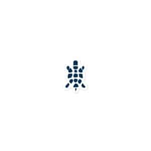 Turtle Icon Navy Vinyl Sticker - 3x3 - Main