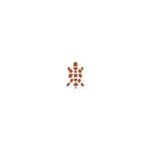 Turtle Icon Terracotta Die-Cut Magnet - 3″×3″ - Main