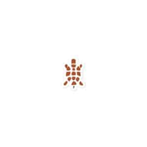 Turtle Icon Terracotta Vinyl Sticker - 3x3 - Main